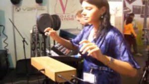 Терменвокс фирмы MOOG