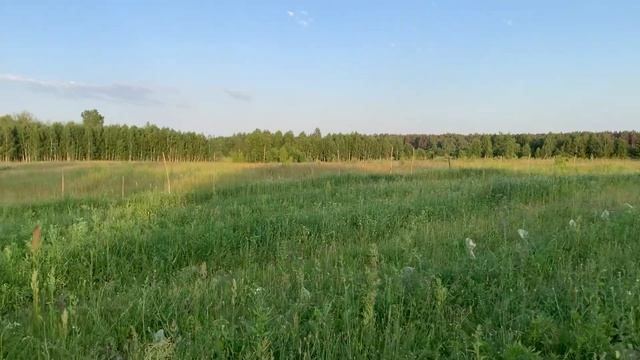 Вношу гербицид «Раундап», снимает товарищ