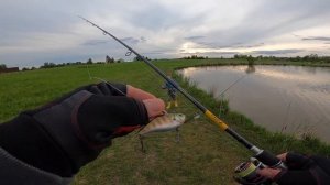 Когда Свимбейт молчит. Zipbaits Calibra спасает рыбалку! Ловля щуки на ратлин