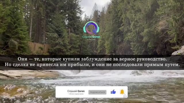 Сура Бакара защита дома от шайтана.  Включайте обязательно в ваших домах.  прекрасное чтение корана
