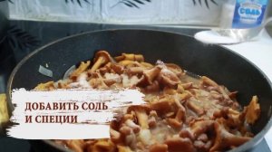 КАК ЭТО ПРИГОТОВИТЬ? ЛЕГКО! ЛИСИЧКИ В СМЕТАНЕ. ТУШЕНЫЕ ЛИСИЧКИ