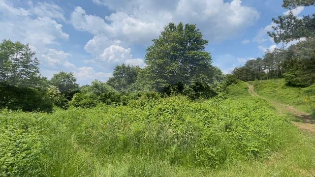 Hike: Calvana . Anello Savignano - Sofignano - Monte Maggiore смотреть онлайн