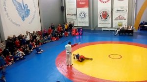 самбо болевой на руку