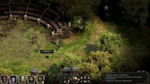 Прохождение Pillars of Eternity, часть 14 (Каэд Нуа)