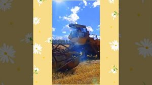 Уборочная 2022 года?