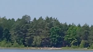 ловим рогаля на пуф чесночный