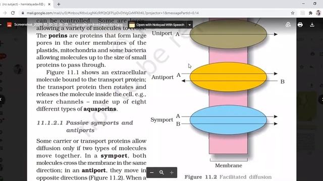 class 11 Ch-11 Transport in plants by Hemlata Maám, watch till the end смотреть онлайн
