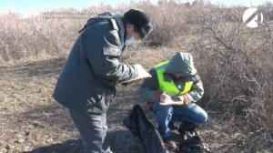 Россельхознадзор выявил более восемьсот гектаров сельхозземель заросшей сорной растительностью