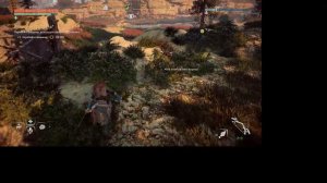 Horizon Испытание Брёвна - золото