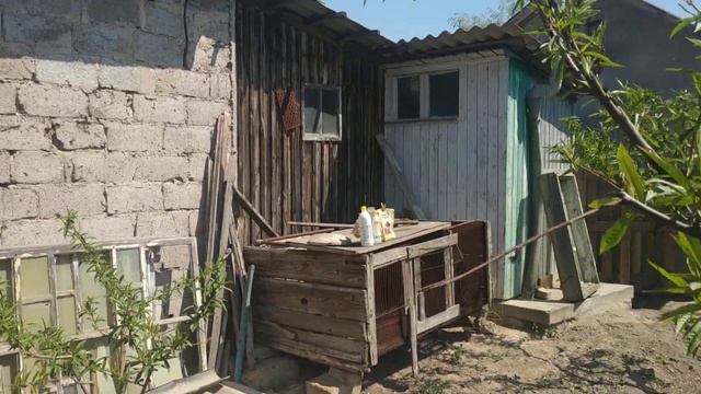 Все обработки персика в одном ролике.ИНФОРМАЦИЯ! смотреть онлайн