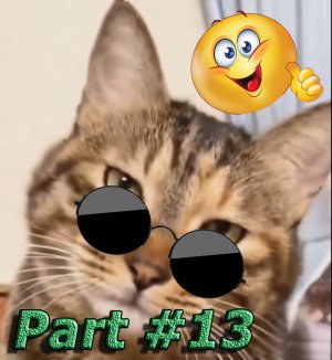 NEW лучшее. Подборка видео со смешными животными 2024. Part #13 #animals #cat #dog