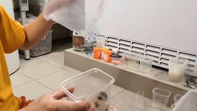 Обращение с мелкими кормовыми насекомыми