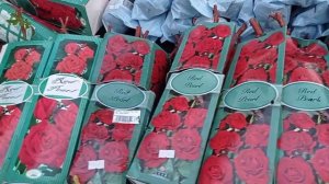 Поехали в ВАШ САД! Бал хризантем.