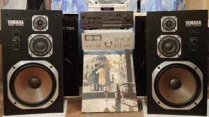 Акустика Yamaha NS-500M новый приход