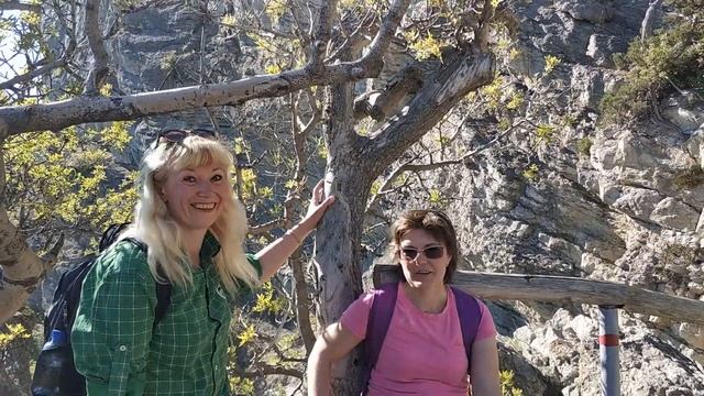 Весёлое Новый Свет смотреть онлайн