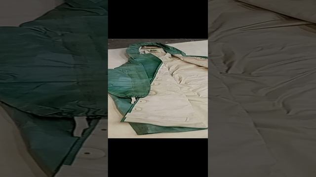 VID_20240217_135657