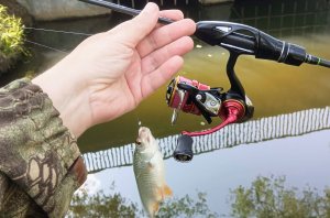 27.05.2023 Плотва на поплапоппер в парке