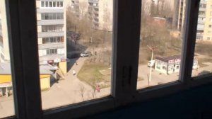 Голубь врезался в окно Pigeon crashed into window!