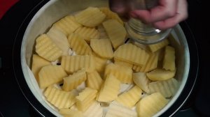 Индукционная мультиварка. Мясо в соусе с картофелем в REDMOND IH-300