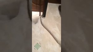 Укладка ковролина на яхте.