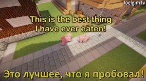 почему свиньи любят морковку :3