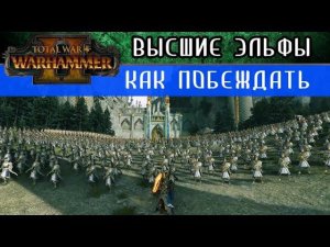 Высшие Эльфы Как побеждать за них в Total War Warhammer 2 перевод на русский