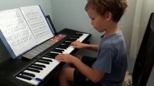 БЕРКОВИЧ-ЭТЮД НА ТЕМУ 24 КАПРИСА ПАГАНИНИ