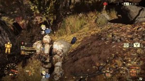 Fallout 76 nuclear winter сборка