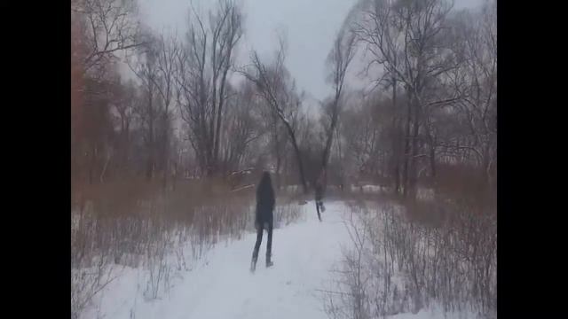 Поздравление для девочек. Подарок для девочек от мальчиков. 8 марта. 9 класс. 2 часть. Природа. смотреть онлайн