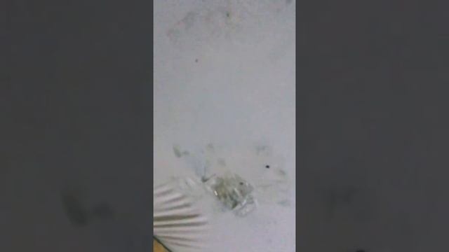 Кинотеатр дома ?| Экран для проектора | Своими руками из подручных средств | Весёлые сельские будни смотреть онлайн