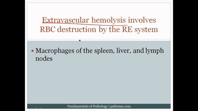 Pathoma USMLE - V ГЛАВА - 10.Нормоцитарная анемия