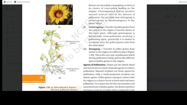Class 12 BIOLOGY SAMPLE PAPER 1  Solution Continuation
