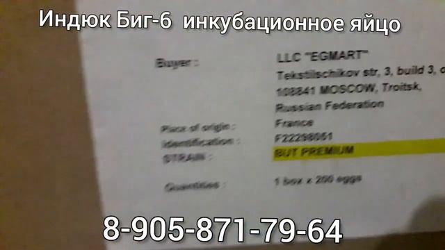 Индюк Биг-6. Инкубационное яйцо с доставкой. смотреть онлайн