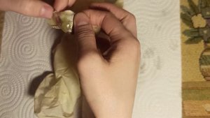 Вскрываем яйцо эублефара