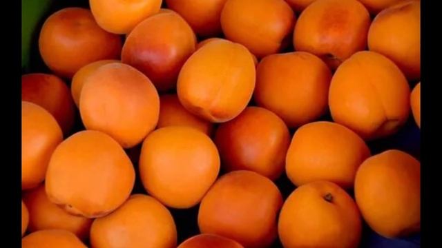 ШОШИЛИНЧ! УРИК ХАКИДА БАРЧА ОГОХ БУЛСИН ТАРКАТИНГ