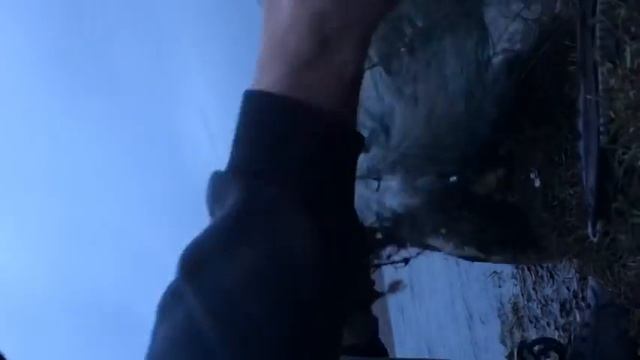 Что творят в нерестовый запрет подводные охотники! Борьба с браконьерами в нерестовый запрет!