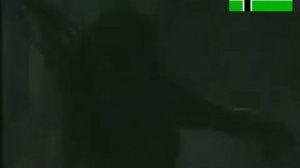 Type O Negative - Black No.1 Live at Dynamo 1995