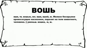 ВОШЬ - что это такое? значение и описание