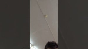 Kosteckiy123 Ткачук пупок