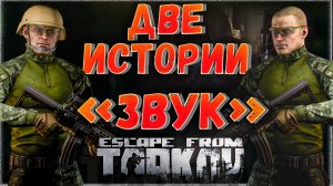 Две Истории - Пропали Звук и Снаряжение ? Никита Исправляй! В Escape from Tarkov