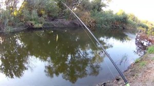 Соревнование воблеров  TsuYoki Watson 110SP против Strike PRO Inquisitor 110SP