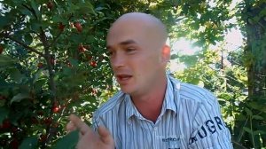 ГУМИ. Мой обзор для Вас.