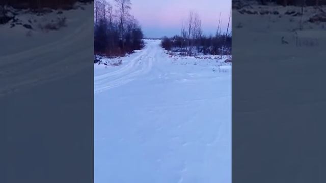 Буран с 4т двигателем 15лс. смотреть онлайн