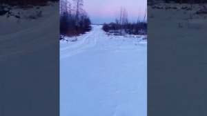 Буран с 4т двигателем 15лс.