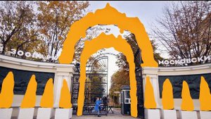 Аня Юркевич - «Оранжевый настрой»