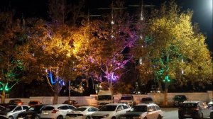 Иллюминация новогоднего Севастополя