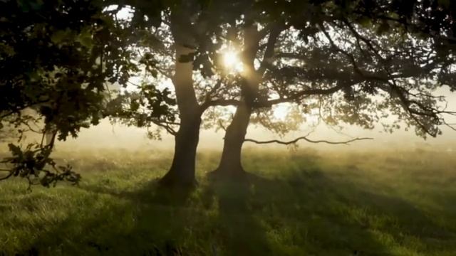 Душевный покой - как его обрести смотреть онлайн