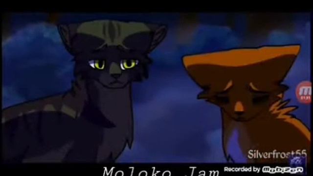 Белка и Ежевика-пока мы молоды смотреть онлайн