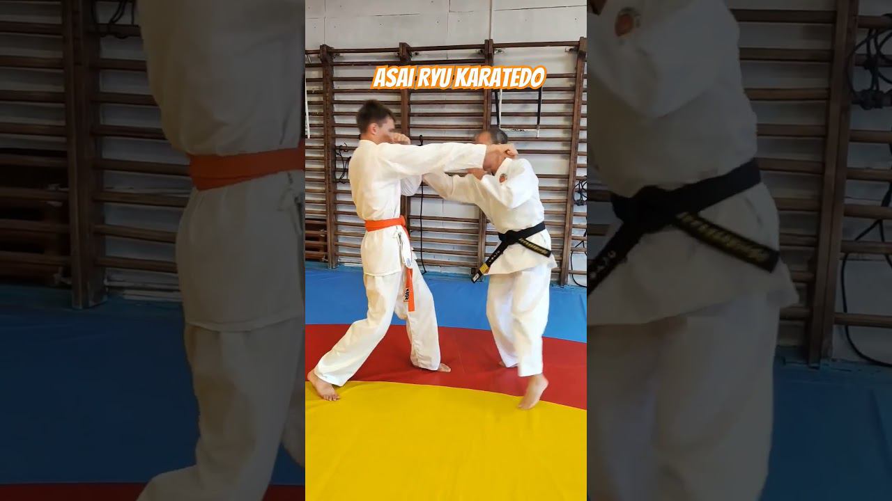 Моменты тренировки  на уклоны и контратаки  Asai Ryu karatedo. #asairyu #karate #каратэ