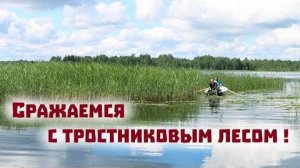 Вычищаем заросшую озерную бухту и продолжаем строить новый дом!